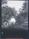 Mujer y hombre sobre caballo, 1940