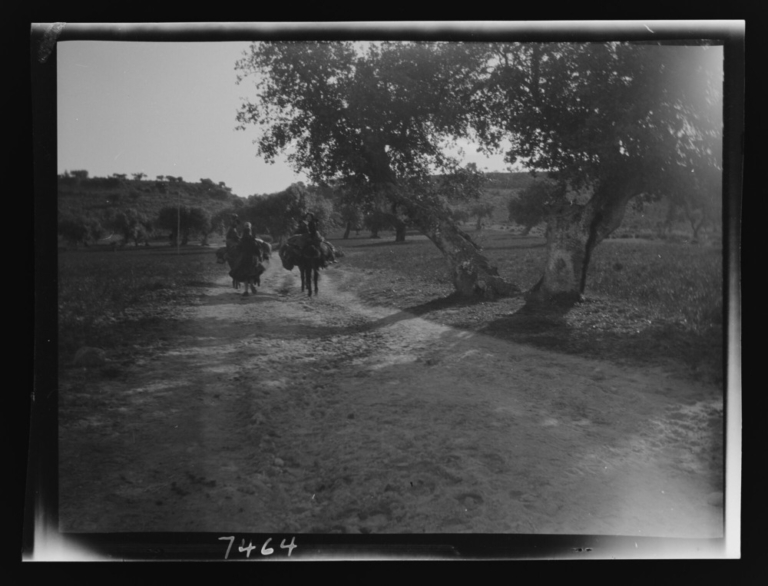 Mujeres en mula camino de Plasencia