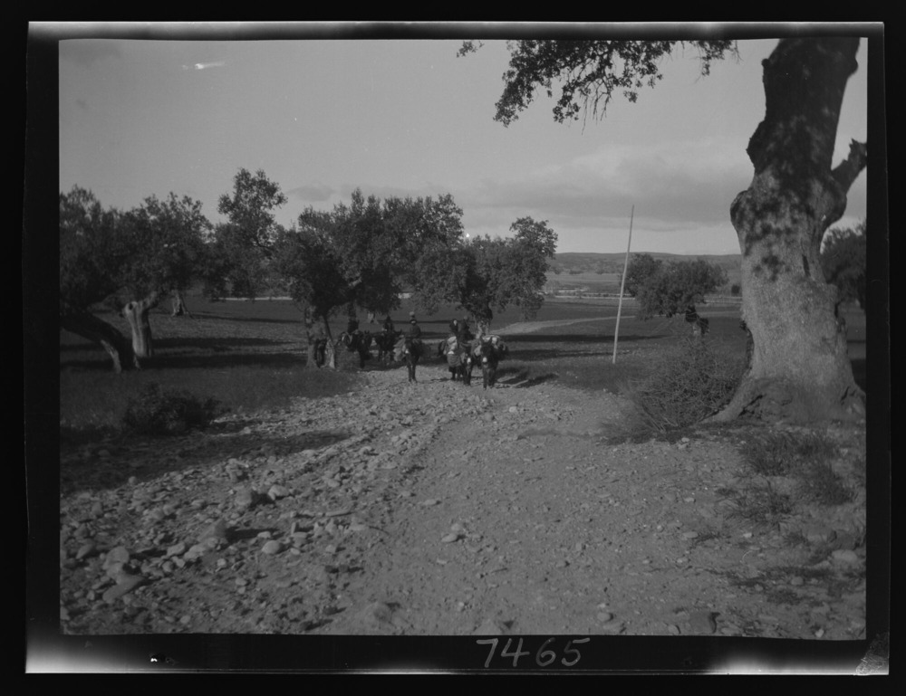 Mujeres en mula camino de Plasencia