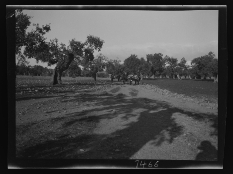 Mujeres en mula camino de Plasencia