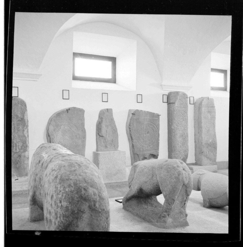 Museo Arqueológico. Verracos célticos