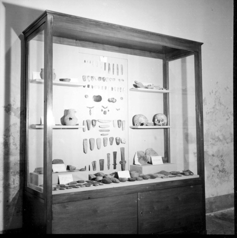 Museo Arqueológico. Vitrina Sala Prehistoria