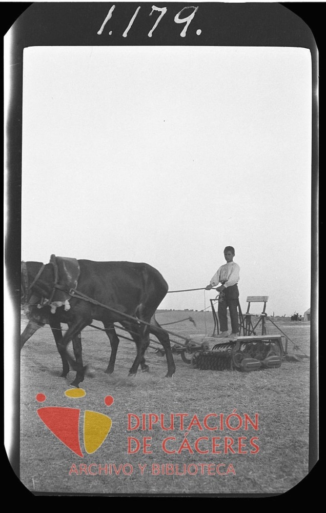 Niño arando