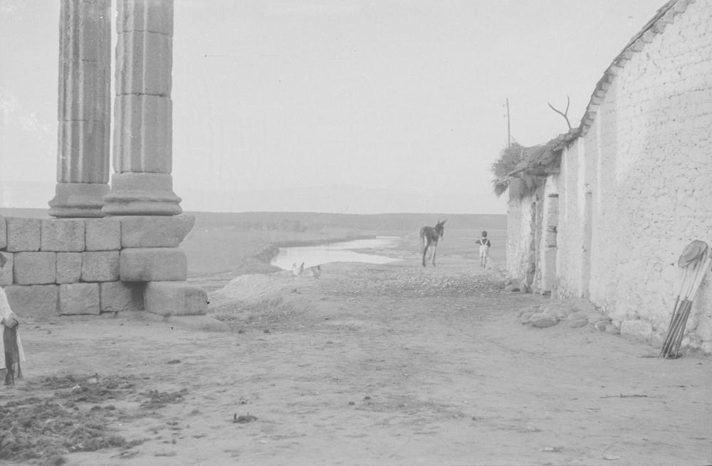 Niño junto a un burro y unas gallinas. A la derecha una casa