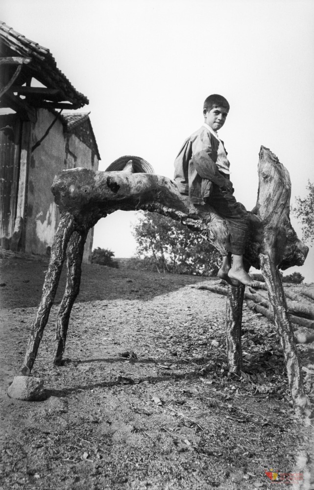 Niño sobre un tronco elevado