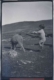Niño y oveja, 1940