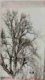 Niños subidos a un árbol, 1920