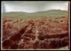 Paisaje con cruce de caminos y el pueblo al fondo (Aliseda · Juan Cabré Aguiló