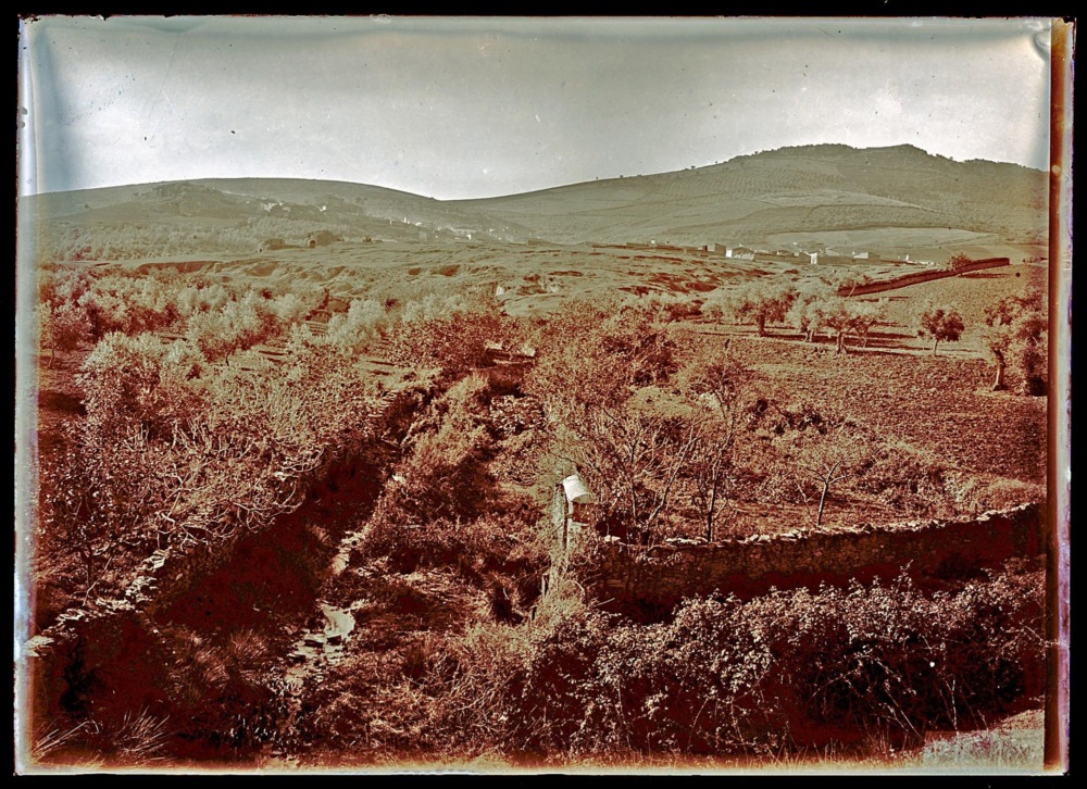 Paisaje con cruce de caminos y el pueblo al fondo (Aliseda