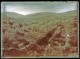 Paisaje con cruce de caminos y el pueblo al fondo (Aliseda · Juan Cabré Aguiló