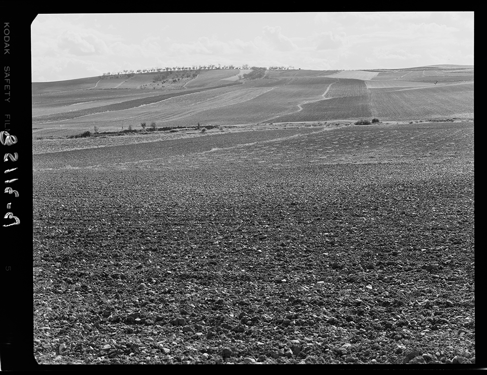 Paisaje de campos de cultivo