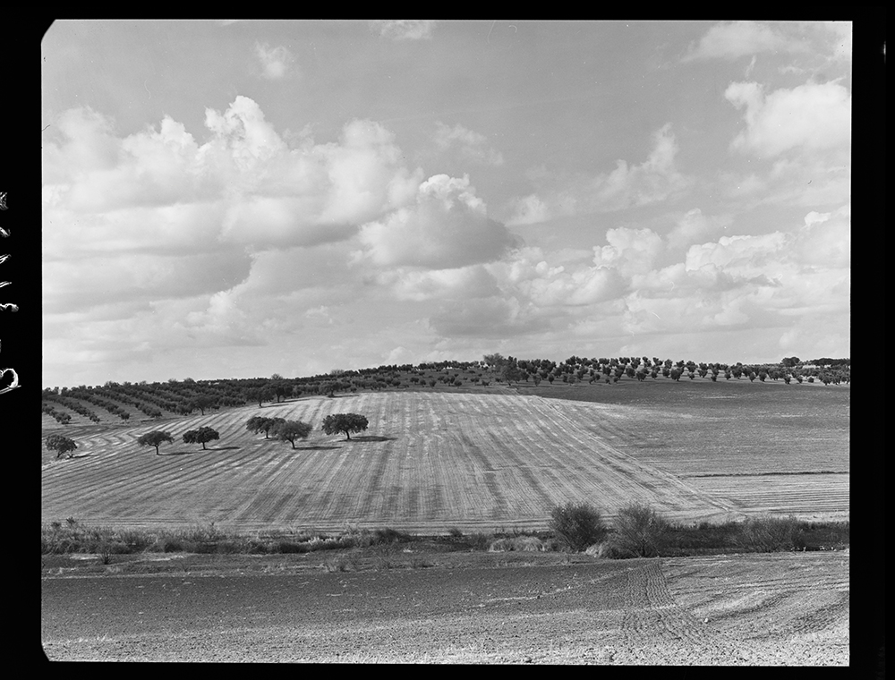 Paisaje de campos de cultivo