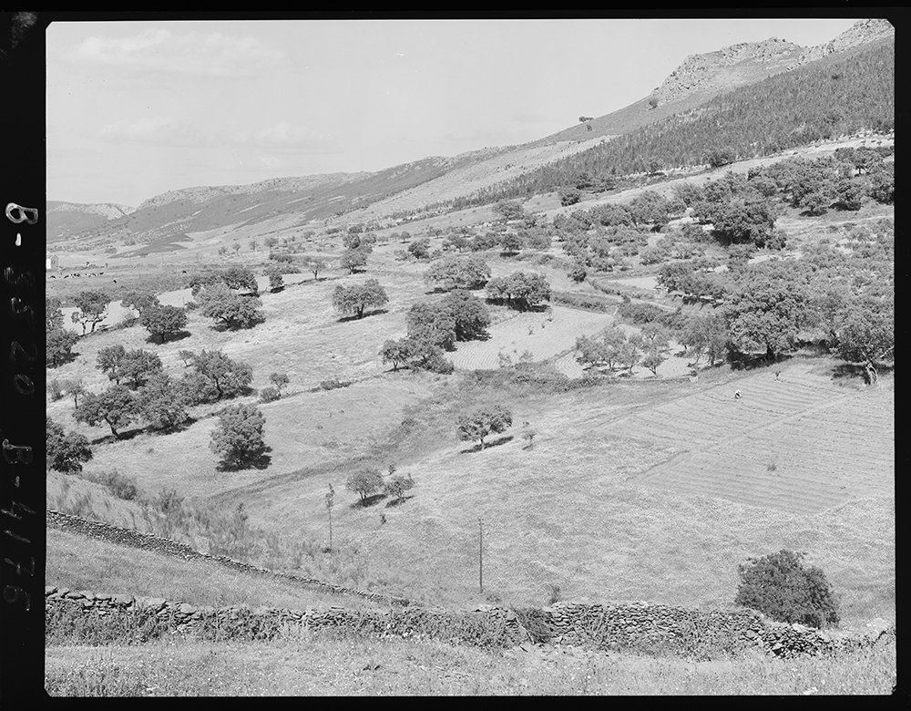 Paisaje de montaña. En primer término se obsevan unas vallas