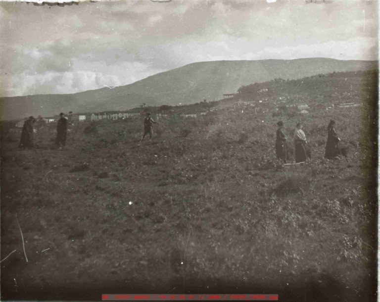 Panorámica de la entrada a Jaraíz