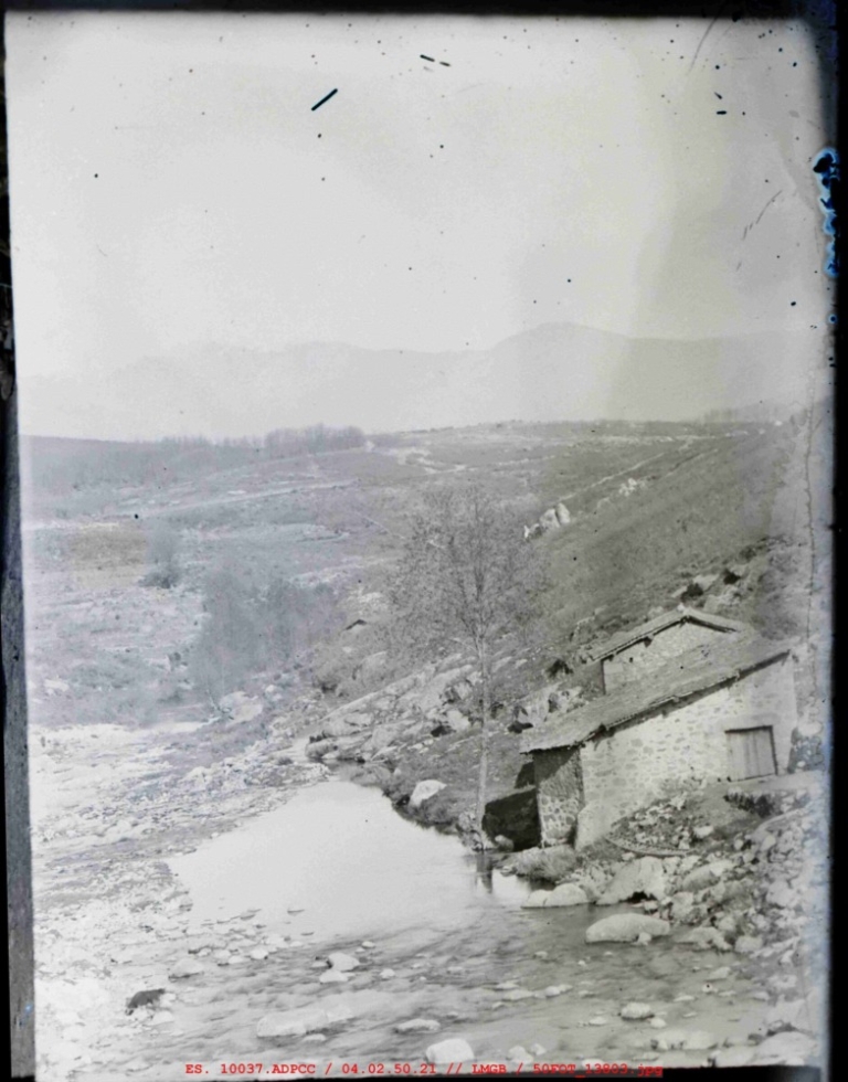 Panorámica de una casa y paisaje con arbustos en la zona