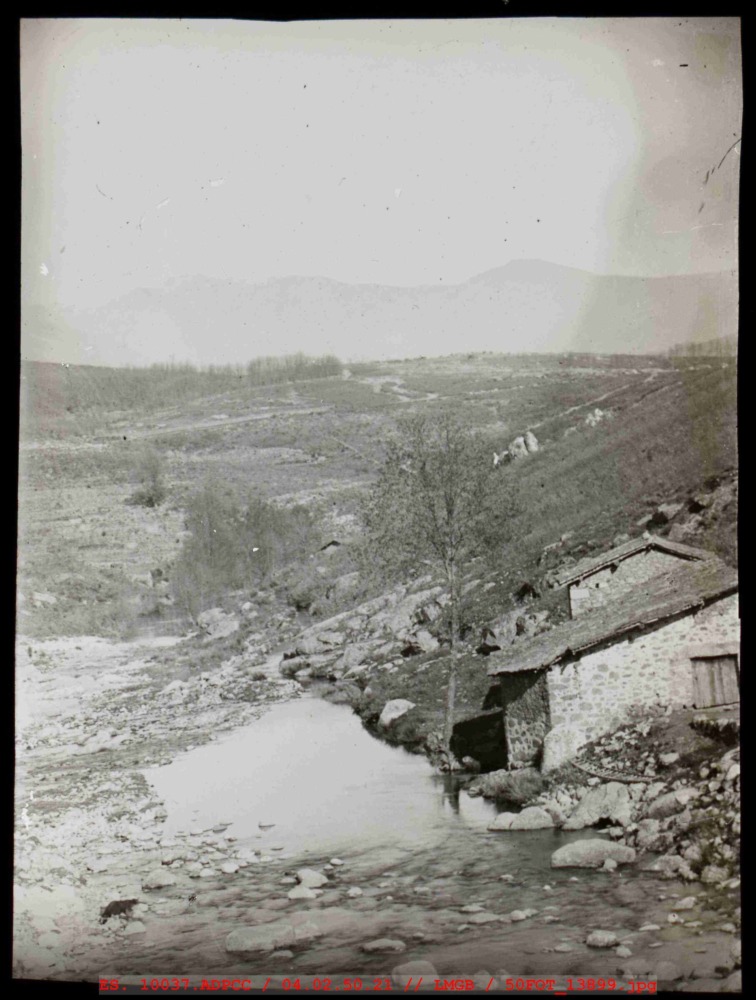 Panorámica de una casa y paisaje con arbustos en la zona
