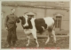 Pastor con un novillo fente al Hospital Provincial de Cáceres · Javier García Téllez, 1928