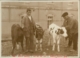 Pastores con terneros fente al Hospital Provincial de Cáceres · Javier García Téllez, 1928