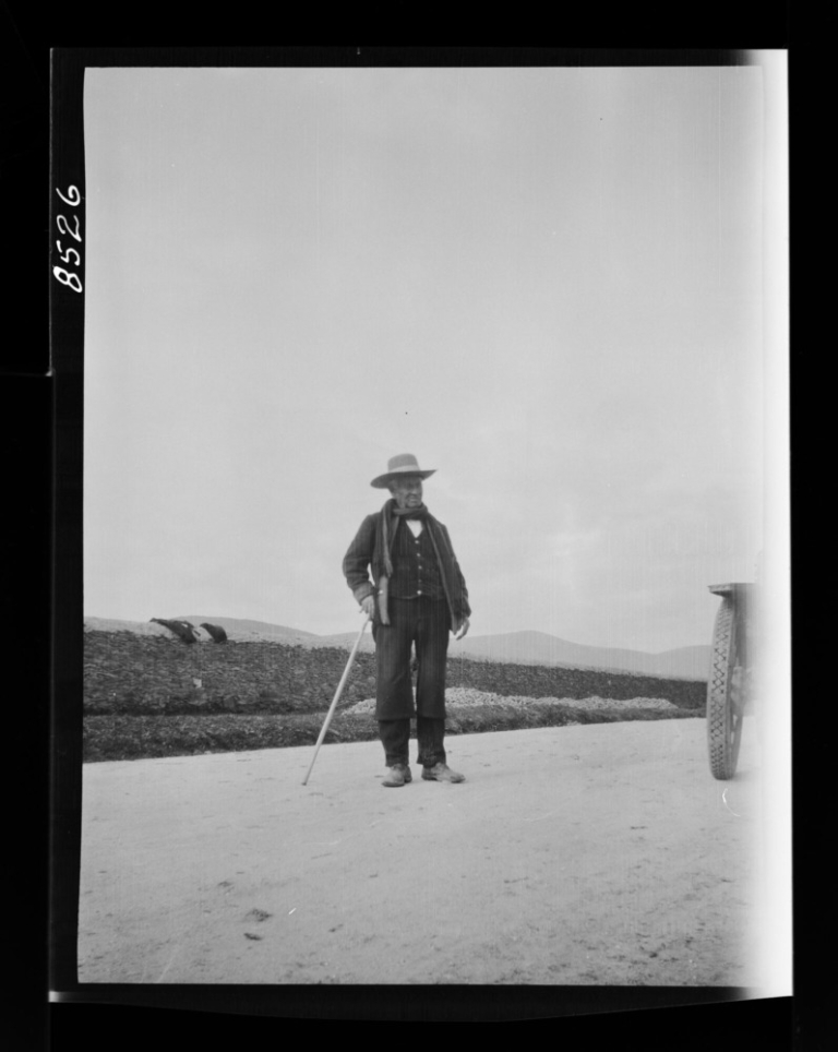 Peón caminero