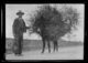 Peón caminero y su burro · Ruth Matilda Anderson, 1928