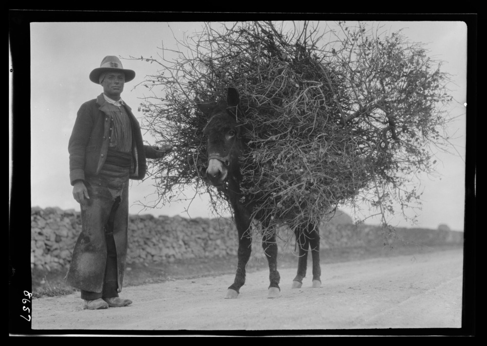 Peón caminero y su burro