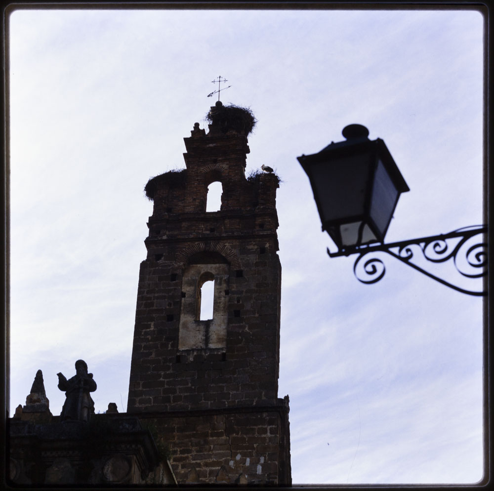 Plasencia. Espadaña de la catedral vieja con cigüeñas