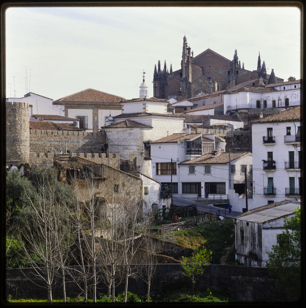 Plasencia. Vista parcial con las murallas y la catedral