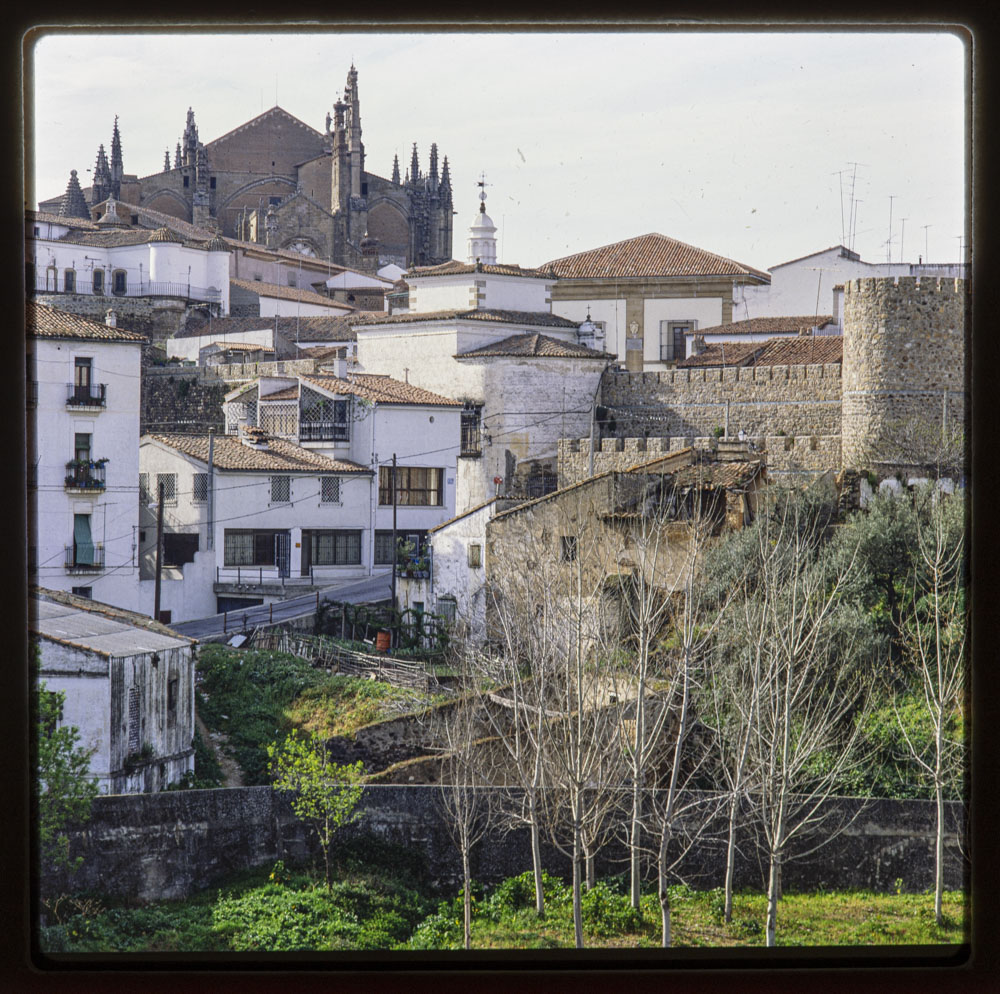 Plasencia. Vista parcial de la ciudad con la catedral · Luis Agromayor