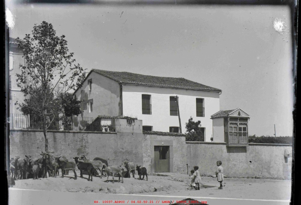 Plaza de Santa Ana en Jaraíz con un rebaño de cabras