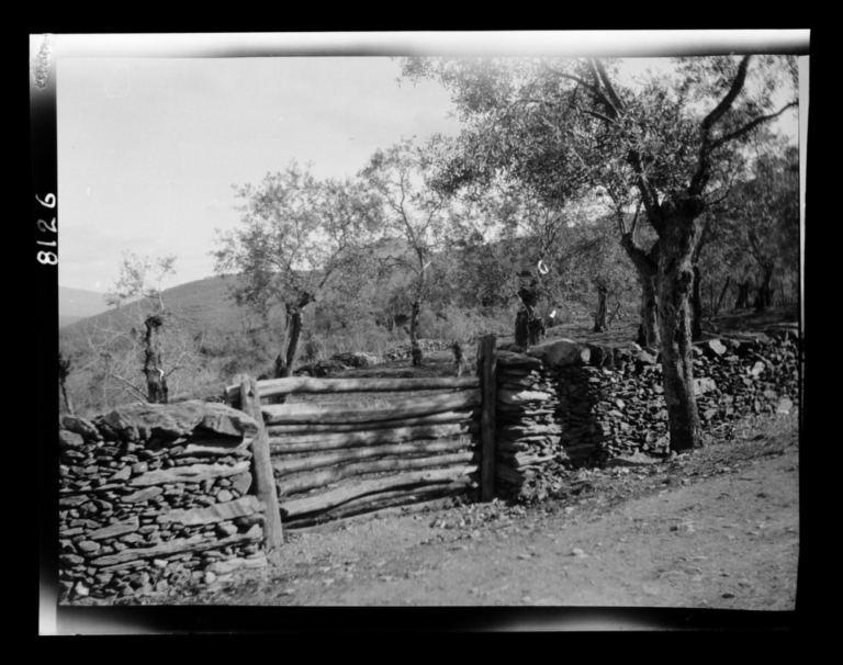 Portillo de una finca
