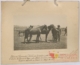 Potrancas cruzadas: primer premio · Julián Perate Barroeta, 1920