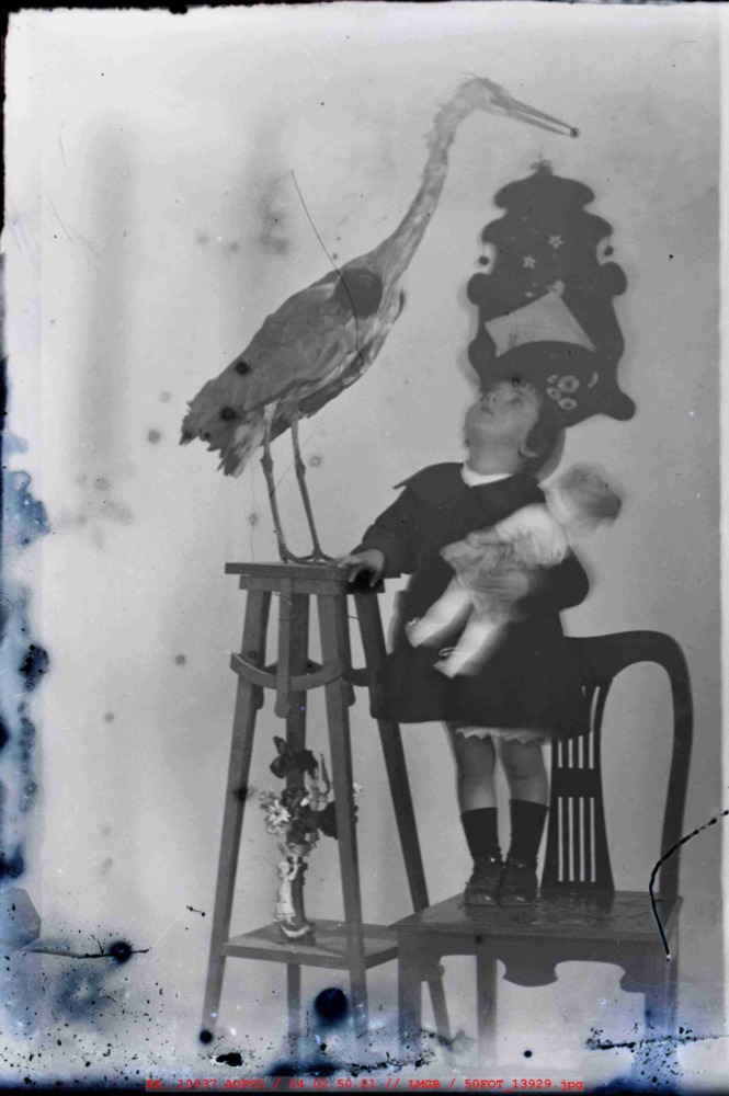 Retrato de niña mirando una cigüeña