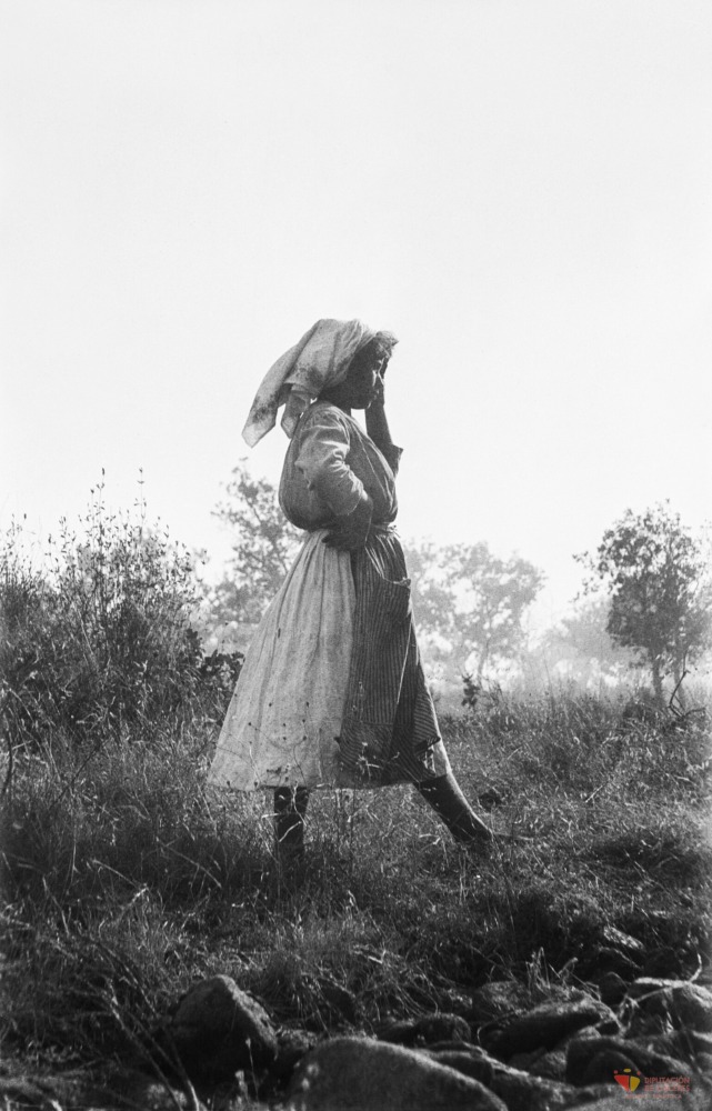 Retrato de una campesina