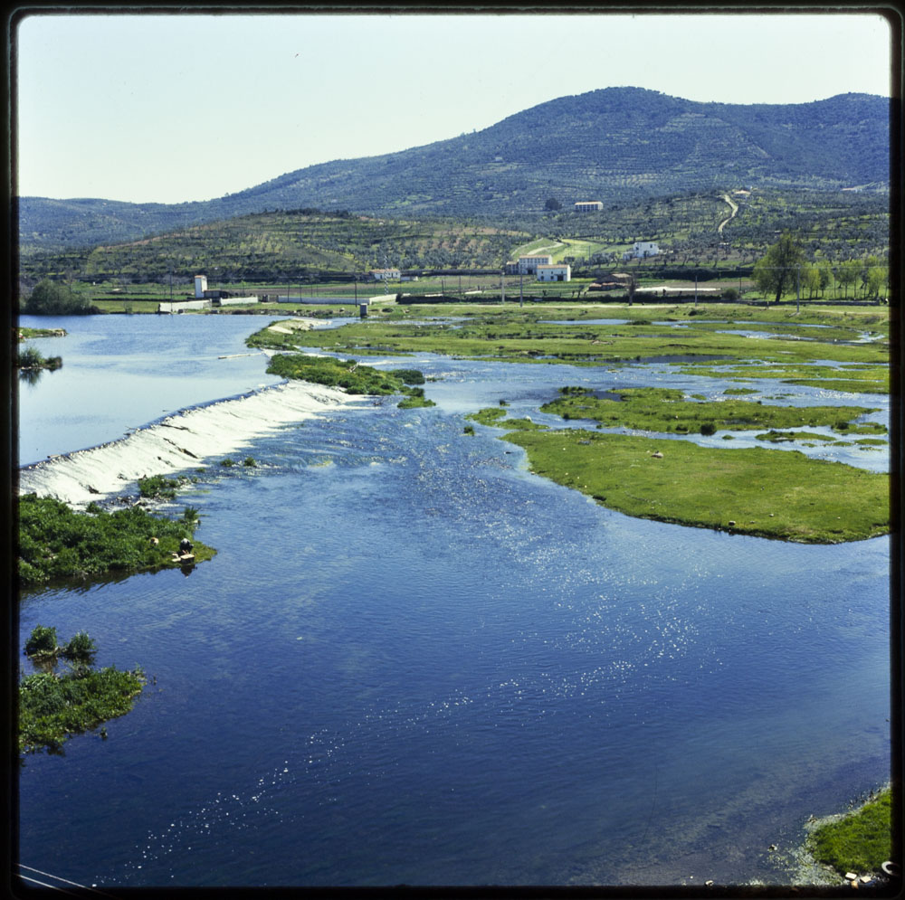 Río Jerte en las crecidas de primavera, poco antes de llegar