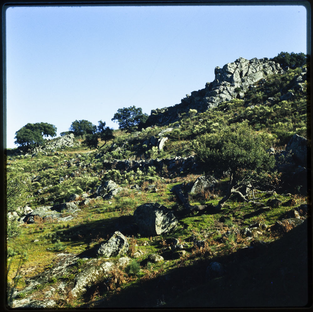 San Pedro de Alcántara. Roquedales y encina en las sierras