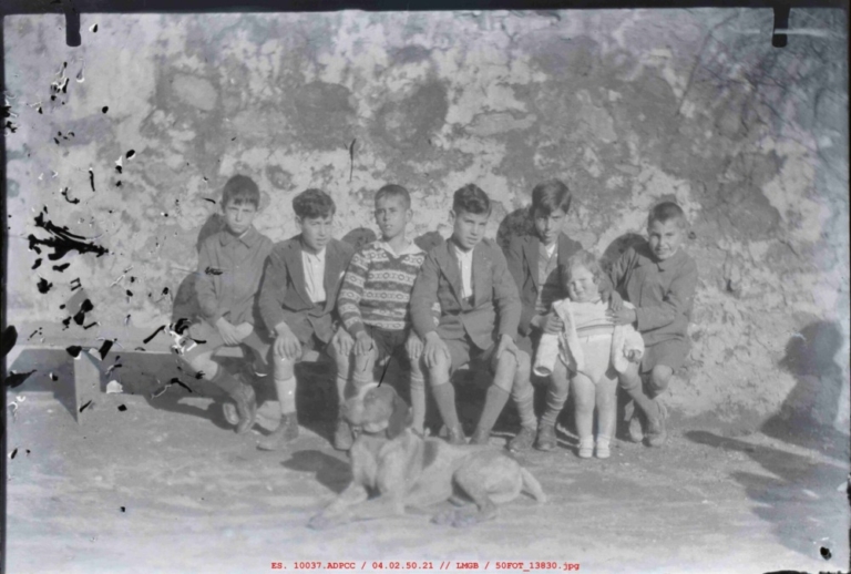 Seis adolescentes, niño y perro