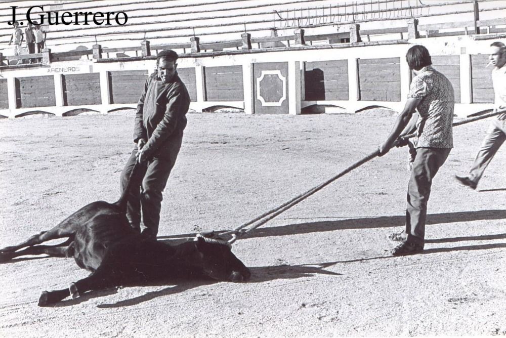 Sin mulillas