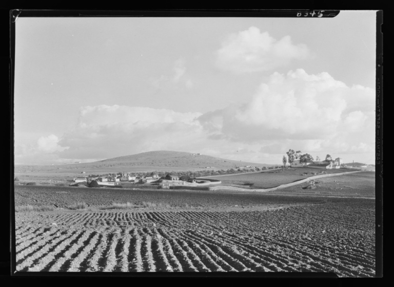 Tejar en las afueras: vista lejana