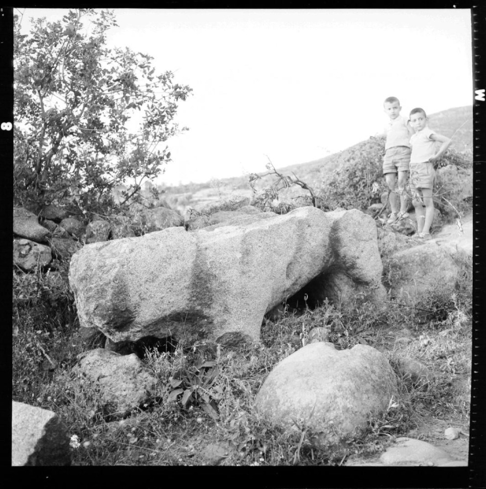 Toro de piedra