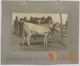 Toro de raza extremeña: primer premio · Javier García Téllez, 1920