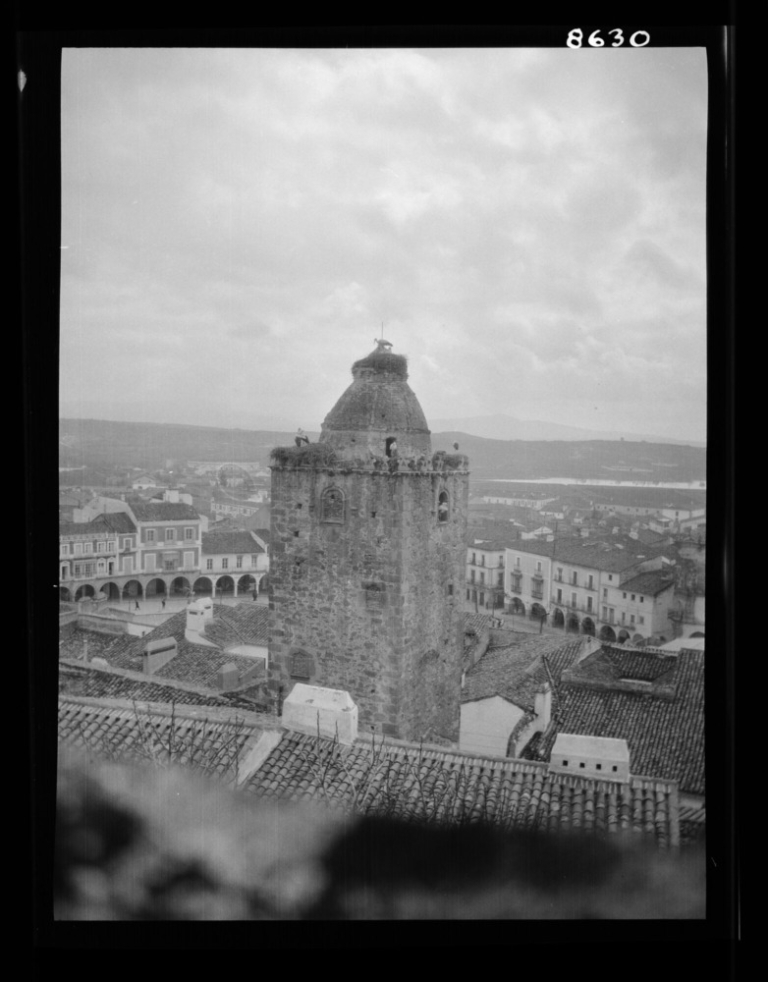 Torre del Alfiler