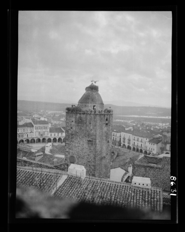 Torre del Alfiler