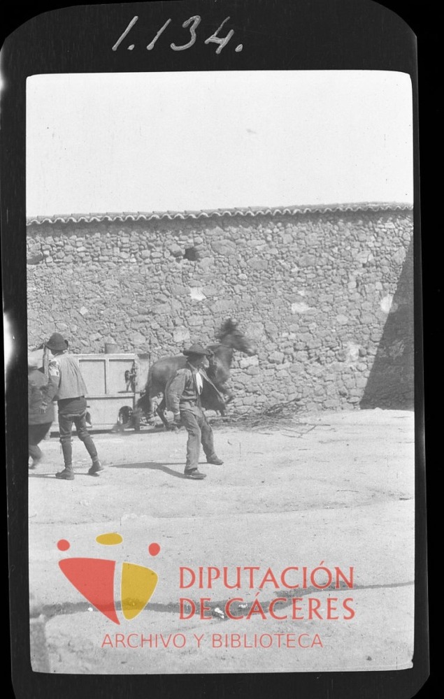 Trabajadores domando a un caballo
