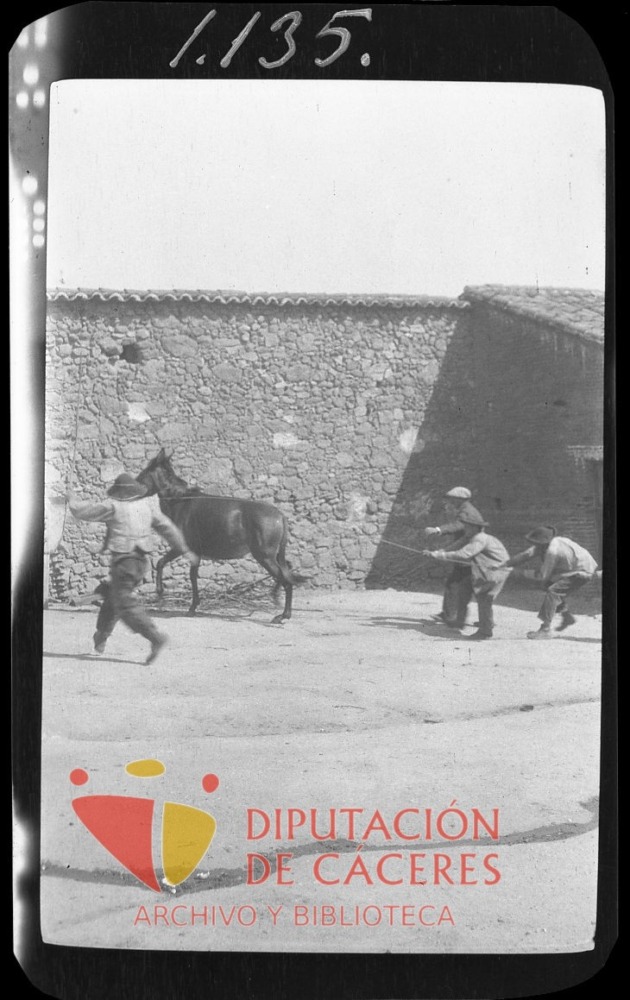 Trabajadores domando a un caballo