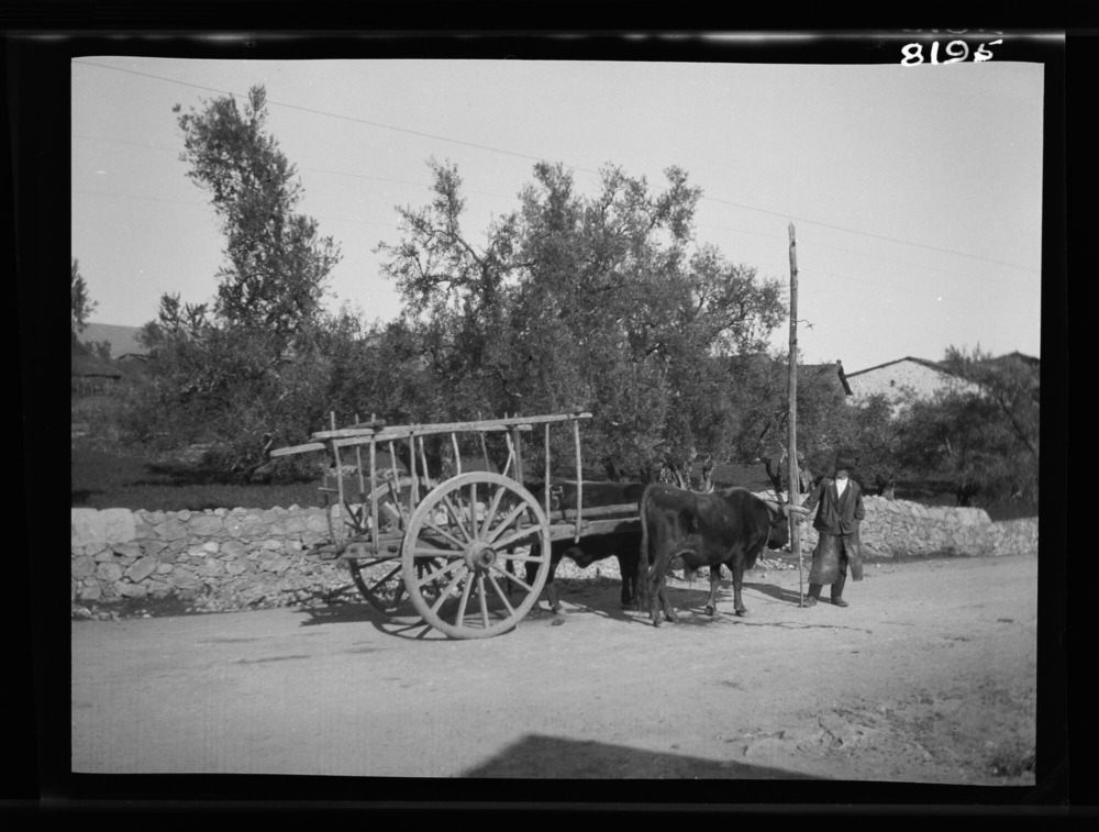 Transporte: carro largo y estrecho