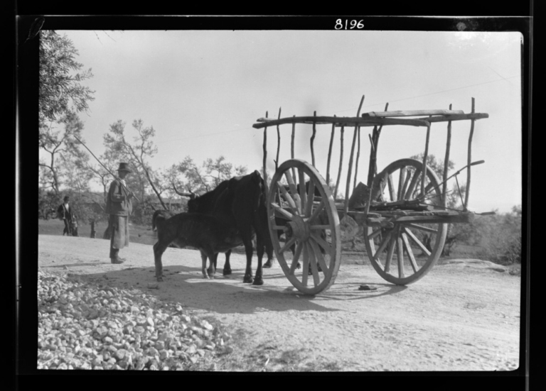 Transporte: carro largo y estrecho, por detrás