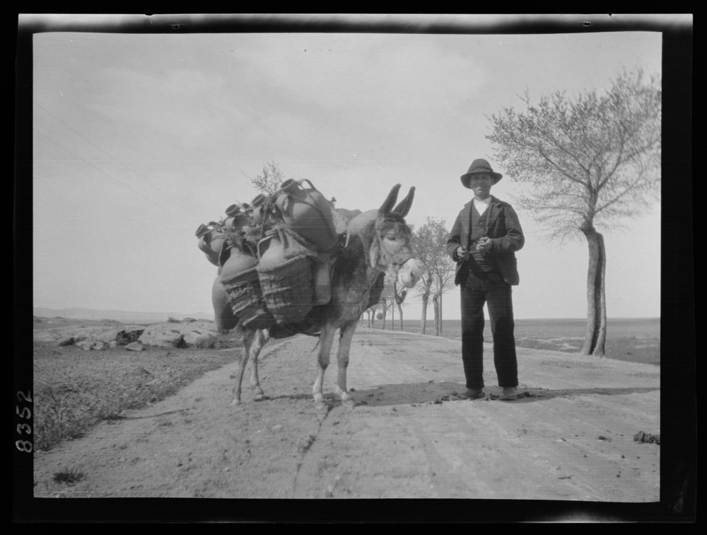 Transporte de alfarería: un burro carga doce piezas de barro