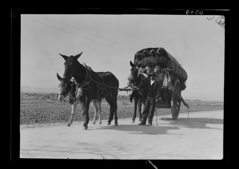 Transporte de cacharros de alfarería