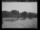 Transporte de cacharros desde un alfar de la margen derecha del río Jerte. Cargando cestos en burros · Ruth Matilda Anderson, 1928