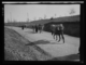 Transporte en burro de cacharros desde un alfar de la margen derecha del río Jerte · Ruth Matilda Anderson, 1928